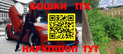 индика Новокубанск