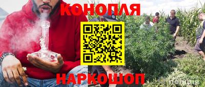 ECSTASY Новозыбков