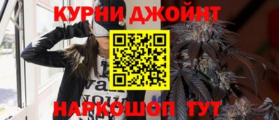 индика Новокубанск
