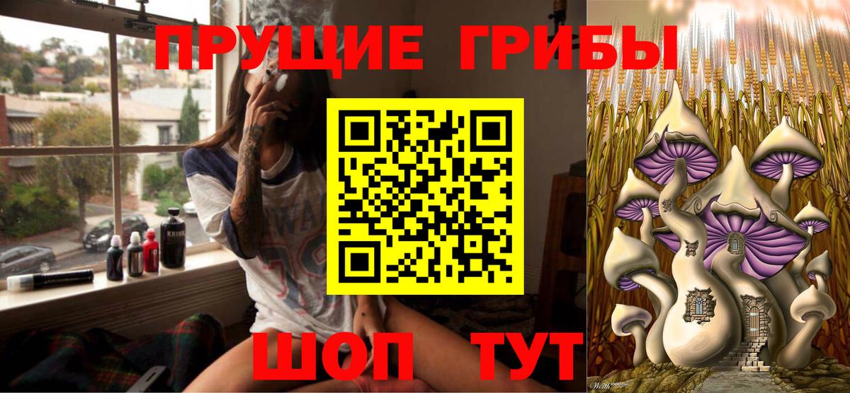 купить наркоту  Псилоцибиновые грибы GOLDEN TEACHER  Вход с VPN  Сызрань  Псилоцибиновые грибы MAGIC MUSHROOMS 