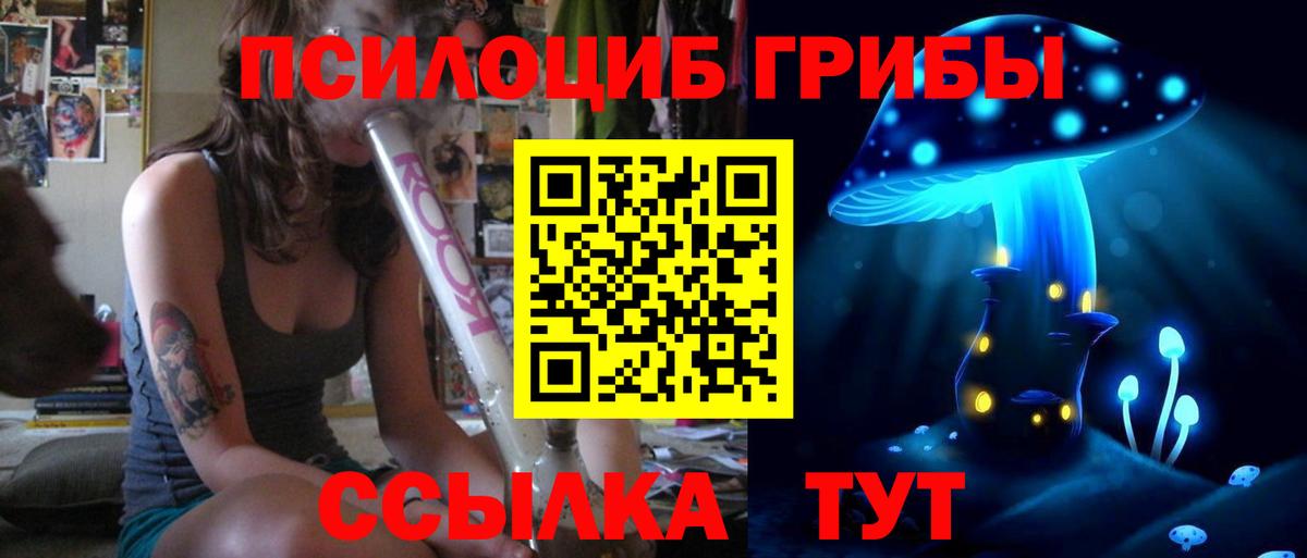 Галлюциногенные грибы Psilocybine cubensis Сызрань