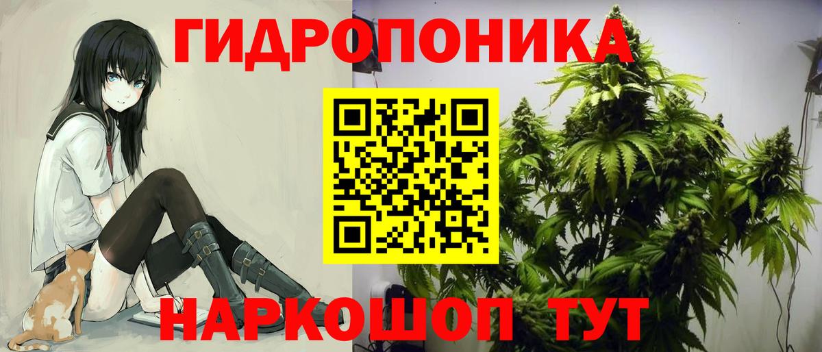 Бошки Шишки сатива  Каннабис Bruce Banner  МАРИХУАНА семена  Вход с VPN  Канабис гибрид  Сызрань 